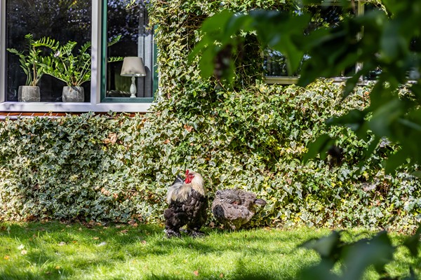 Medium property photo - Halbe Wiersemaweg 6, 9365 TB Niebert